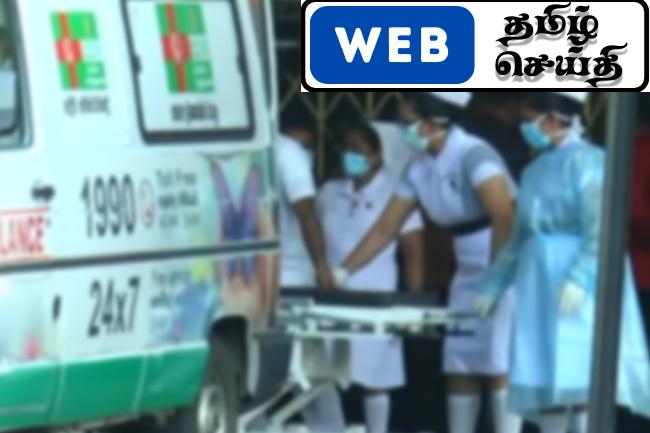 குளவி தாக்குதலுக்கு இலக்கான 13 பேர் வைத்தியசாலையில் அனுமதி