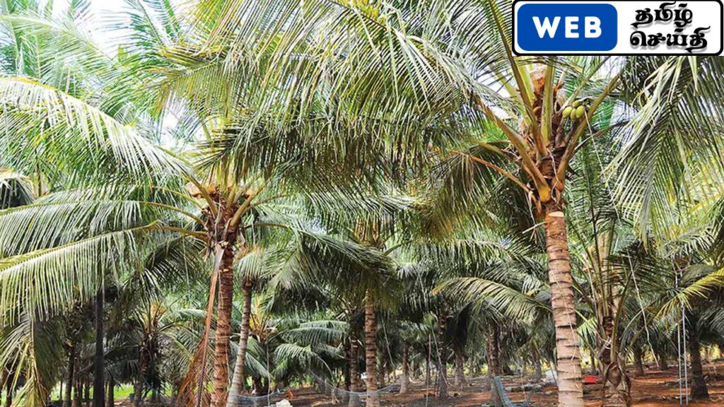 தென்னை விவசாயிகளுக்கு உர நிவாரணம்