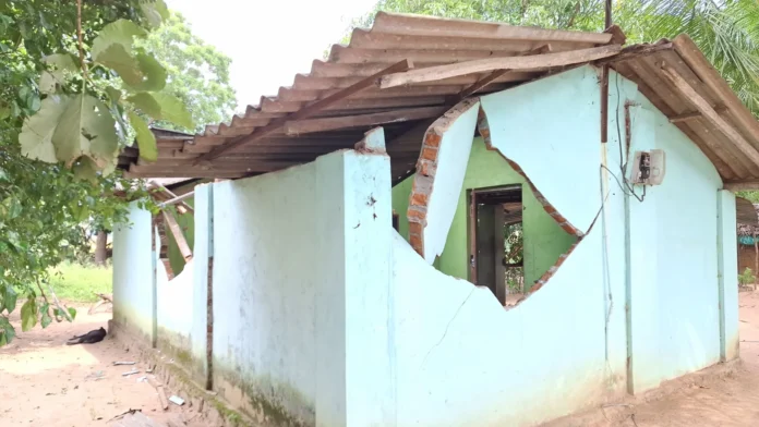 மட்டக்களப்பில் நள்ளிரவில் கிராமத்திற்குள் புகுந்த காட்டு யானைகள்