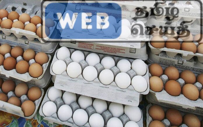 காலாவதியான முட்டைகள் உணவகம் ஒன்றில் இருந்து மீட்பு