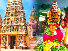 வற்றாப்பளை கண்ணகி அம்மன் ஆலய வருடாந்த பொங்கல் உற்சவத்தை ஒட்டி பொது சுகாதார பரிசோதகர்கள் விடுத்துள்ள அறிக்கை
