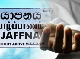 யாழில் IPL பார்த்துக்கொண்டிருந்த இளைஞன் மயங்கி விழுந்து உயிரிழப்பு