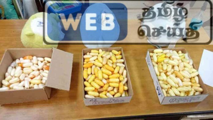பொம்மைக்குள் போதைப்பொருள் கடத்தல் - கட்டுநாயக்க விமான நிலையத்தில் கைது