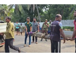 மட்டக்களப்பு பிரதேசத்தில் வீட்டுக்குள் புகுந்த 6 அடி முதலை பொதுமக்களால் மடக்கி பிடிப்பு