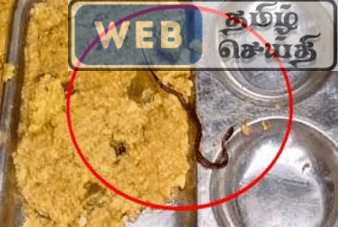 இந்தியாவில் பாடசாலையில் வழங்கப்பட்ட உணவில் பாம்பு