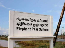 ஆனையிறவில் உற்பத்தி செய்யப்படும் உப்புக்கு 'ஆனையிறவு உப்பு என பெயர் மாற்றம்