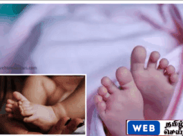 கர்நாடக மாநில பகுதியில் தந்தையின் பீடி துண்டால் பறிபோன 10 மாத குழந்தையின் உயிர்