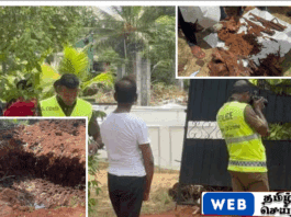 வவுனியாவில் வீடொன்றிலிருந்து துப்பாக்கிகள் மற்றும் ரவைகளும் மீட்பு