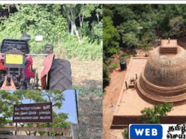 குருந்தூர் மலை பகுதியில் கைதாகிய இரண்டு விவசாயிகளும் விடுவிப்பு