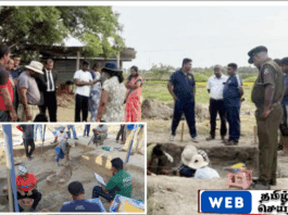 சித்துப்பாத்தி மனிதப்புதைகுழியில் இதுவரை 19 மனித எலும்புக்கூடுகள் மீட்பு