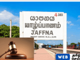 யாழில் புகையிலை சார் பொருட்கள் படக் காட்சிப்படுத்தல்கள் இன்றி விற்றவருக்கு கடும் தண்டம்