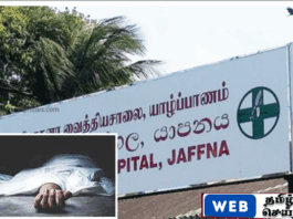 யாழில் கோவிலுக்கு செல்வதற்கு தயாராகிய போது திடீரென மயங்கி விழுந்த குடும்பப் பெண் உயிரிழப்பு