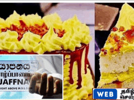 யாழில் கேக் மற்றும் தேநீர் உட்கொண்ட இளைஞர் உயிரிழப்பு