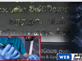 IVF முறையில் முதலாவது செயற்கை முறை கருத்தரிப்பு வெற்றி