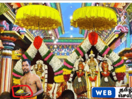 யாழில் பல லட்சங்களுக்கு ஏலம் போன முருகன் மாம்பழம்