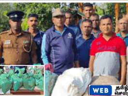 விசுவமடு பகுதியில் சட்டவிரோதமாக மதுபானம் உற்பத்தி செய்து வந்த சகோதார்கள் கைது