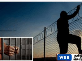 பல்லேகெலே திறந்தவெளி சிறைச்சாலையிலிருந்து கைதி தப்பி ஓட்டம்