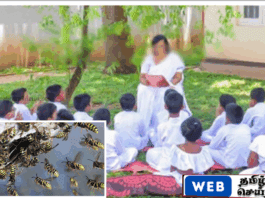 அறநெறிப் பாடசாலையைச் மாணவர்கள் குளவி கொட்டுக்கு உள்ளாகி வைத்தியாலையில் அனுமதி