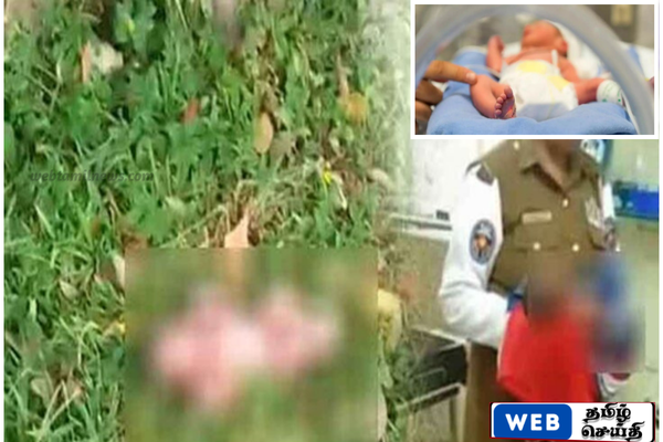 வயல்வெளியில் கைவிடப்பட்ட சிசுவை தாயார் பெற முனைந்தால்,தேவையான உதவிகள் வழங்க அமைச்சு ஆதரவு