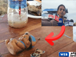செம்மணியில் தோண்ட தோண்ட வெளிவரும் குழந்தைகளின் பொருட்கள்