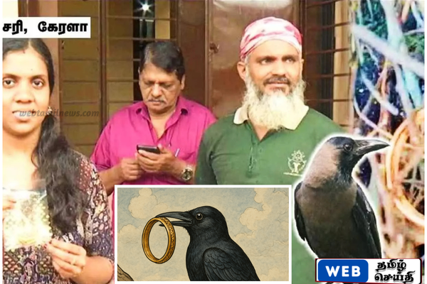 கேரளாவில் மூன்று ஆண்டுகளுக்கு முன்பு காக்கா திருடிய தங்க வளையல் -மீண்டும் கிடைத்த அதிசயம்