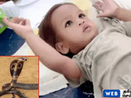 பொம்மை என நினைத்த பாம்பை கடித்து கொன்ற ஓரு வயது குழந்தை – பீகாரில் அதிசயம்