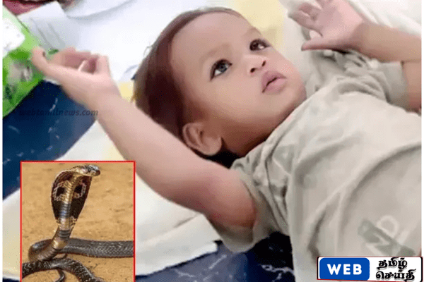 பொம்மை என நினைத்த பாம்பை கடித்து கொன்ற ஓரு வயது குழந்தை – பீகாரில் அதிசயம்