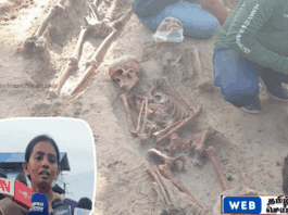 செம்மணி புதைகுழிகளில் மீட்கப்படும் எலும்பு கூடுகளை AI தொழிநுட்பம் ஊடாக மாற்றுவேர்க்கு எதிராக சட்ட நடவடிக்கை
