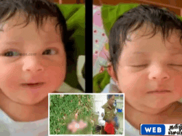 வயல்வெளியில் கைவிடப்பட்ட சிசுவை காப்பாற்றிய தாதியர்களுக்கு பாராட்டு