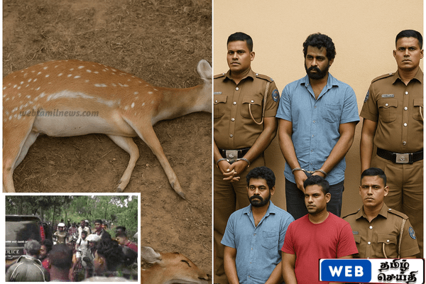 கர்ப்பிணி மானை கொன்ற வழக்கில் 2 பொலிஸ் அதிகாரிகள் உட்பட நால்வர் கைது