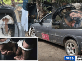 அநுரகுமார திசாநாயக்கவின் புகைப்படத்துடன் ஆடுகள் கடத்தல் – வெலிபென்ன பகுதியில் இருவர் கைது