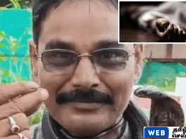 பாம்புடன் காணொளி எடுக்க முயன்றவர் உயிரிழப்பு – இந்தியாவில் அதிர்ச்சி