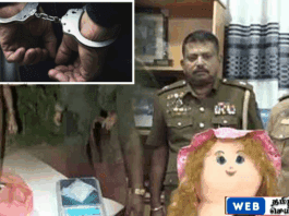 சீதுவ பகுதியில் பொம்மையுடன் போதைப்பொருள் கடத்தல் – 29 வயது பெண் கைது