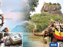 6 மாதங்களில் 3.7 பில்லியன் டொலர் சுற்றுலா வருமானம் – ஆண்டு இலக்கையும் எட்ட முடிவு