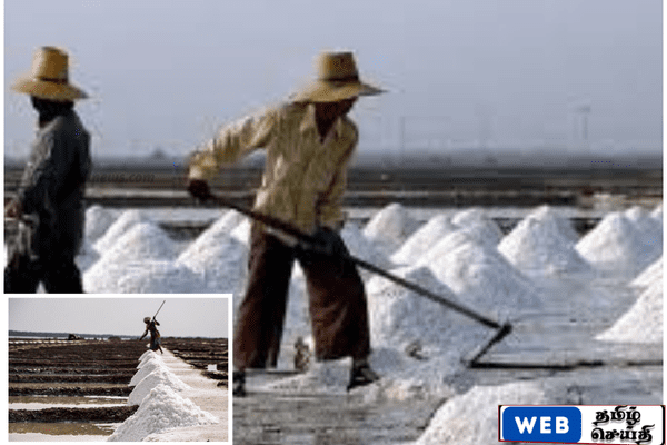 குறிஞ்சாத்தீவு உப்பளம் மீண்டும் ஆரம்பிக்க அமைச்சரவை அனுமதி