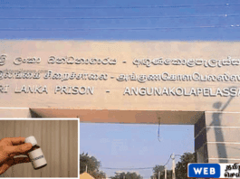 அங்குணுகொலபெலஸ்ஸ சிறையில் சோதனை – கைதியிடம் இருந்து சயனைட் குப்பி பறிமுதல்