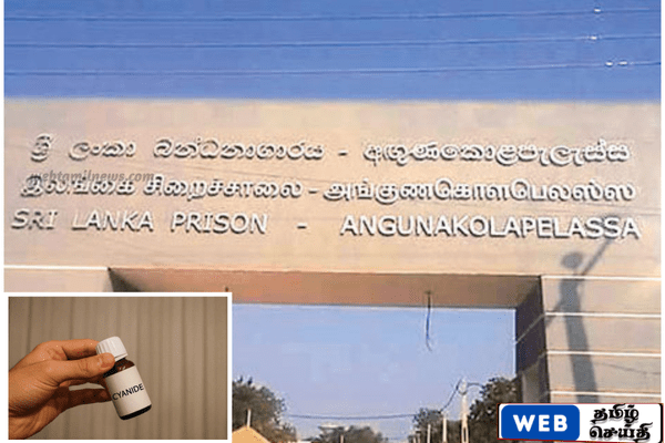 அங்குணுகொலபெலஸ்ஸ சிறையில் சோதனை – கைதியிடம் இருந்து சயனைட் குப்பி பறிமுதல்