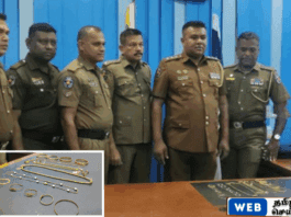 வவுனியாவில் திருட்டு சம்பவம் தொடர்பாக இளைஞர் கைது – பொலிஸார் விசாரணை