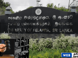 பல்கலை மாணவனை பகிடிவதைக்கு உட்படுத்திய நால்வர் CIDயால் கைது