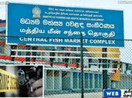 பேலியகொடை பகுதியில் மர்ம நபர்களின் துப்பாக்கிச் சூடு – பொலிஸார் விசாரணை