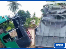 யாழ்ப்பாணம் ஆனைக்கோட்டையில் முச்சக்கர வண்டி விபத்து – சாரதி காயம்