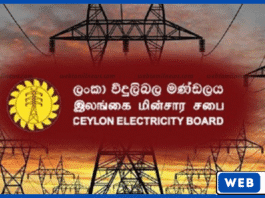 மின்சார சபை மறுசீரமைப்புக்கு எதிராக வேலைநிறுத்தம் நாளை நள்ளிரவு வரை நீடிக்கும்