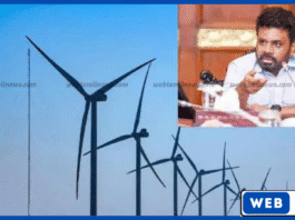 மன்னார் காற்றாலை மின் உற்பத்தி திட்டங்களை முன்னெடுக்க ஜனாதிபதி பணிப்புரை