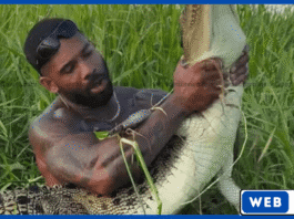 முதலையுடன் மல்யுத்தம் செய்த அமெரிக்க பிரபலம் கைது – ஆஸ்திரேலியாவில் பரபரப்பு