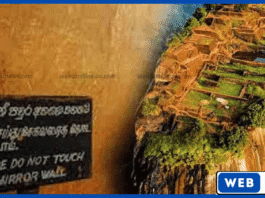 சீகிரிய கண்ணாடி சுவரில் கிறுக்கிய குற்றச்சாட்டு – இளம் பெண் கைது