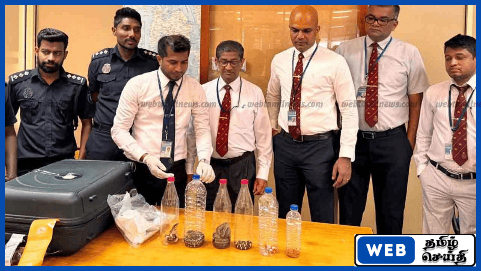 கட்டுநாயக்க விமான நிலையத்தில் சட்டவிரோதமாக பாம்புகளை கொண்டு வந்த பெண் கைது