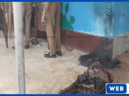 கந்தளாய் பாலர் பாடசாலை தீ வைப்பு : தடயவியல் விசாரணை தீவிரம்