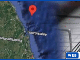 திருகோணமலை கடற்பரப்பில் 3.9 ரிக்டர் நிலநடுக்கம் பதிவானது
