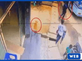 பொகவந்தலாவில் உறங்கிக் கொண்டிருந்த நாய் மீது சூடான நீர் ஊற்றிய சம்பவம் — பொலிஸாருக்கு முறைப்பாடு