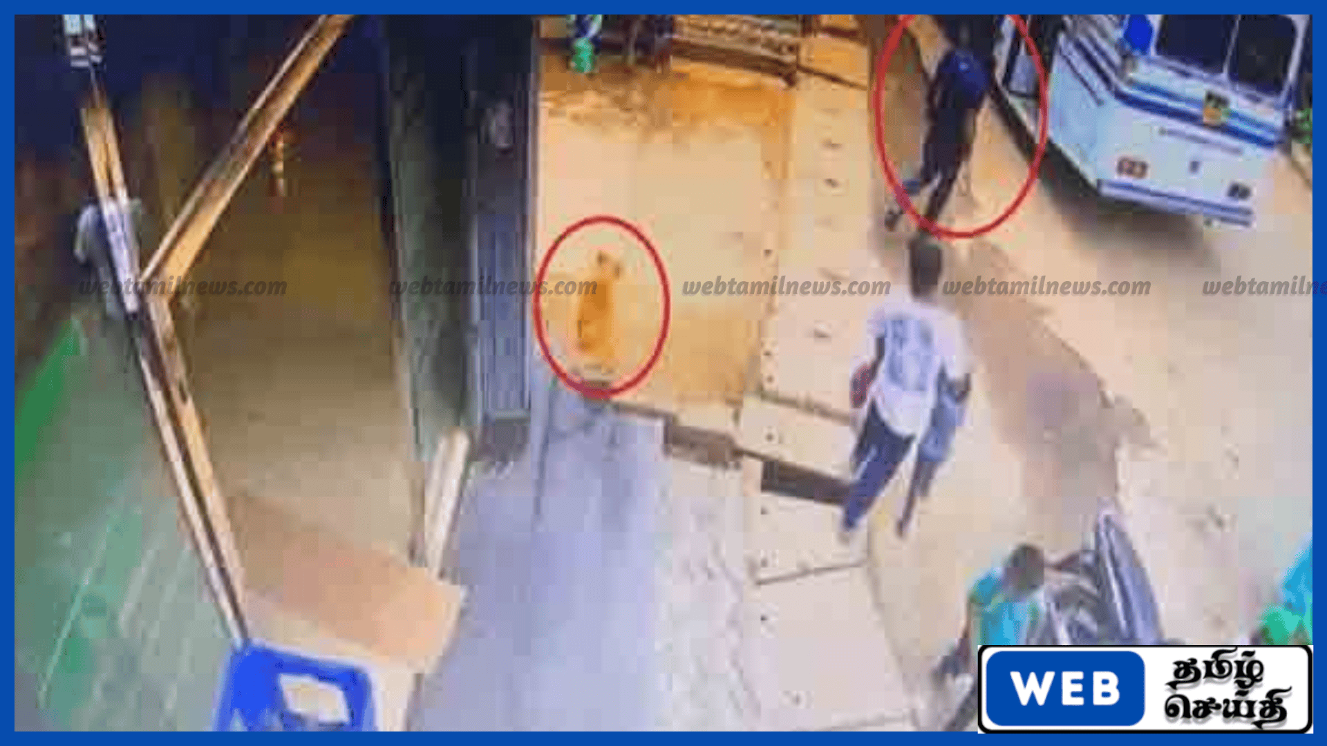 பொகவந்தலாவில் உறங்கிக் கொண்டிருந்த நாய் மீது சூடான நீர் ஊற்றிய சம்பவம் — பொலிஸாருக்கு முறைப்பாடு
